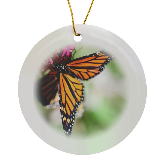 3drose, a Colorful Monarch Danaus Plexippus Butterfly., Circle Porcelain Ornament