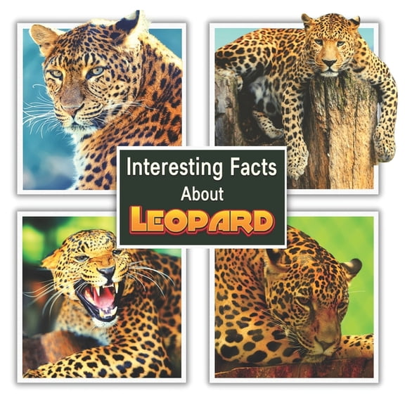 A Colorful Picture Book for Kids Interesting Facts About Leopard, (Paperback)