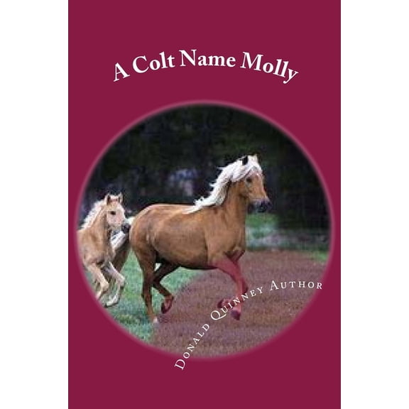 A Colt Name Molly (Paperback)