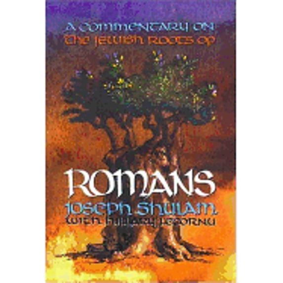 Pre-Owned A Commentary on the Jewish Roots of Romans (Hardcover) 9781880226698