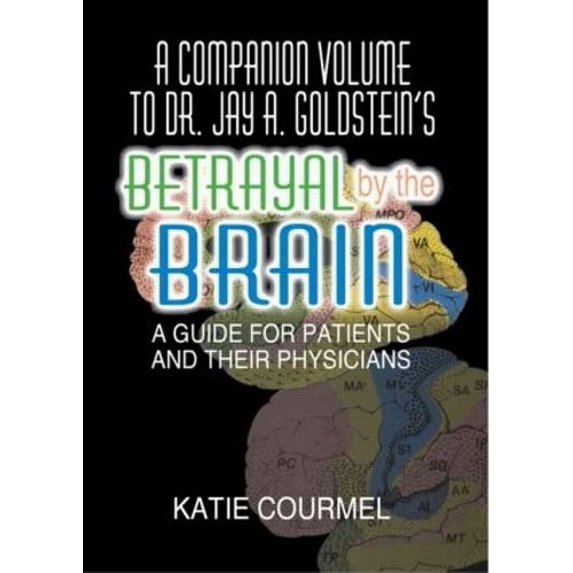 Pre-Owned A Companion Volume to Dr. Jay A. Goldsteins's (Paperback) 0789001195 9780789001191
