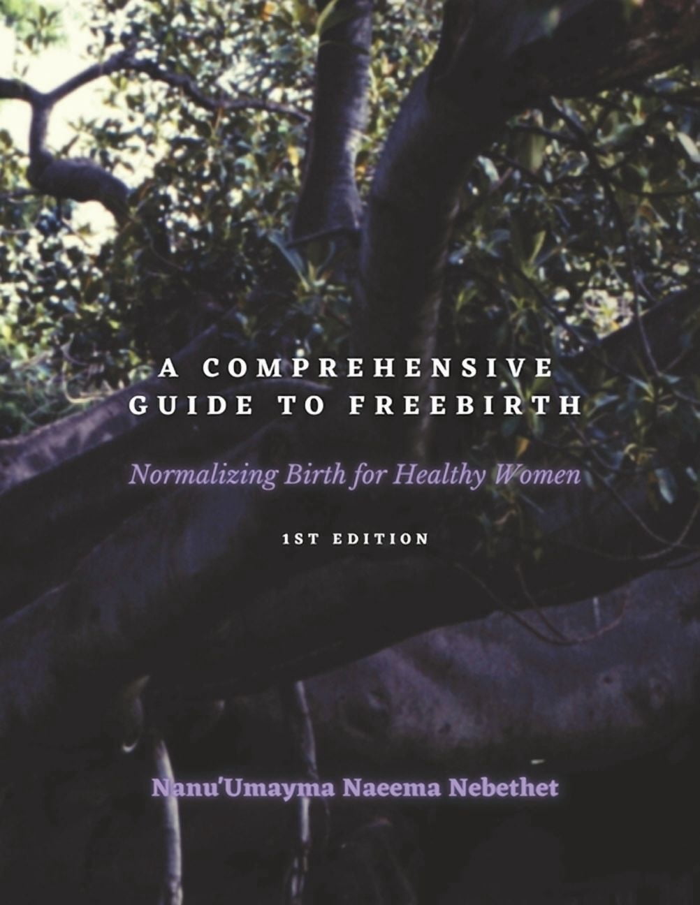 Normulization Formula A Comprehensive Guide to Freebirth: Normalizing Birth for Healthy Women ...