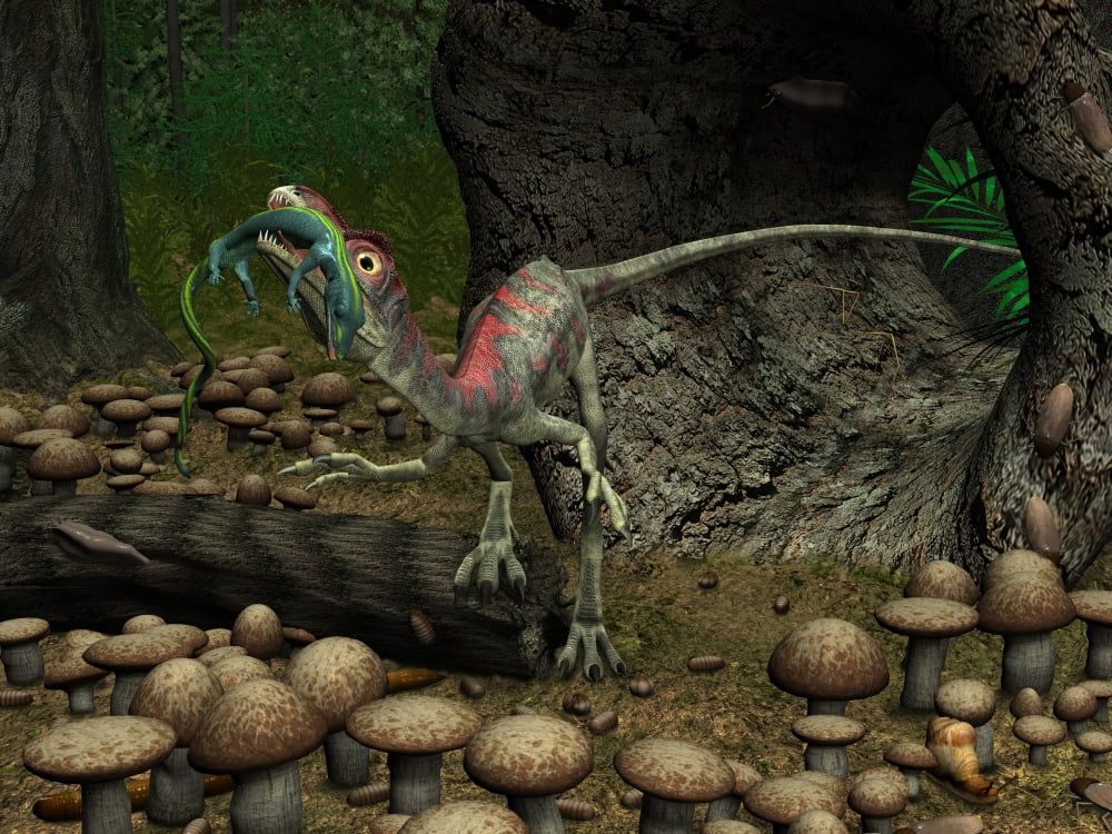 A Compsognathus prepares to swallow a small lizard Canvas Art - Walter MyersStocktrek Images (33 x 25)