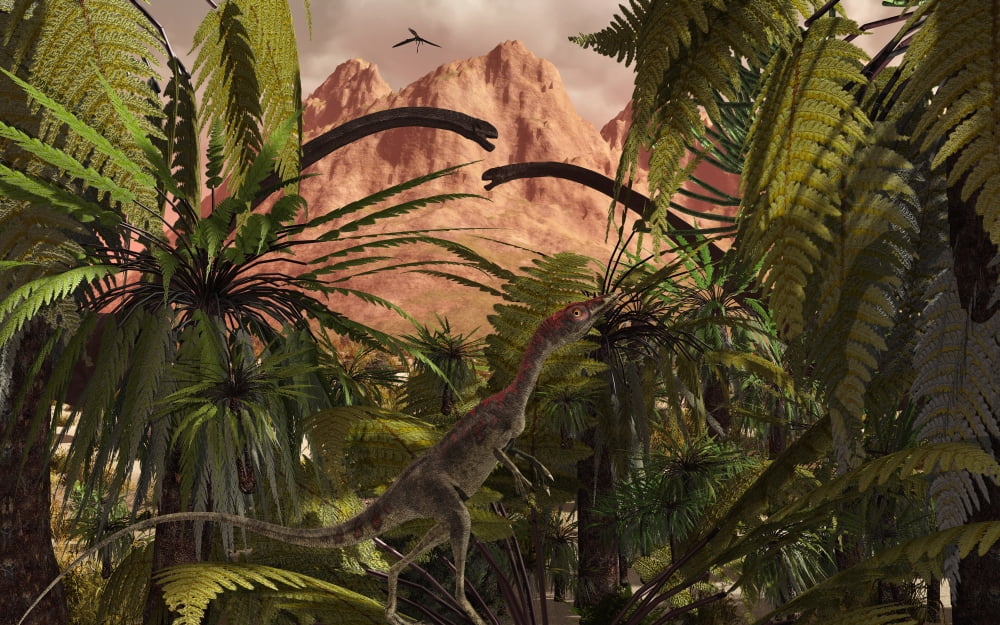 A Compsognathus treads carefully through a Jurassic jungle Canvas Art - Mark StevensonStocktrek Images (36 x 23)
