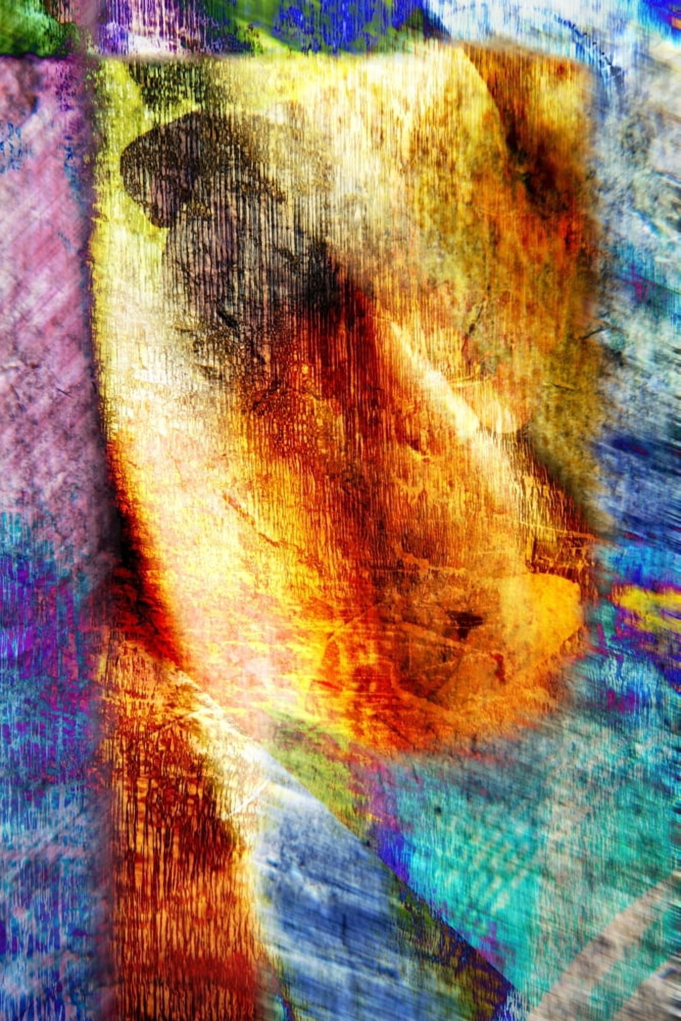 A Computer Generated Background Canvas Art - Don Hammond Design Pics (11 x 17)