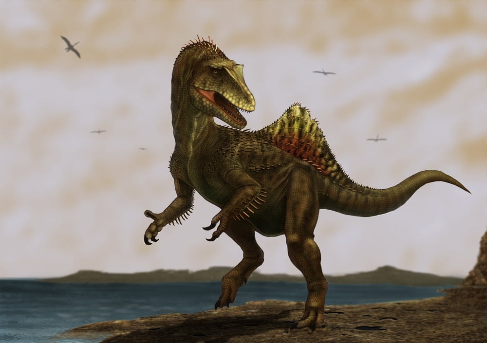 A Concavenator corcovatus running on the beach Canvas Art - Alvaro RozalenStocktrek Images (33 x 24)