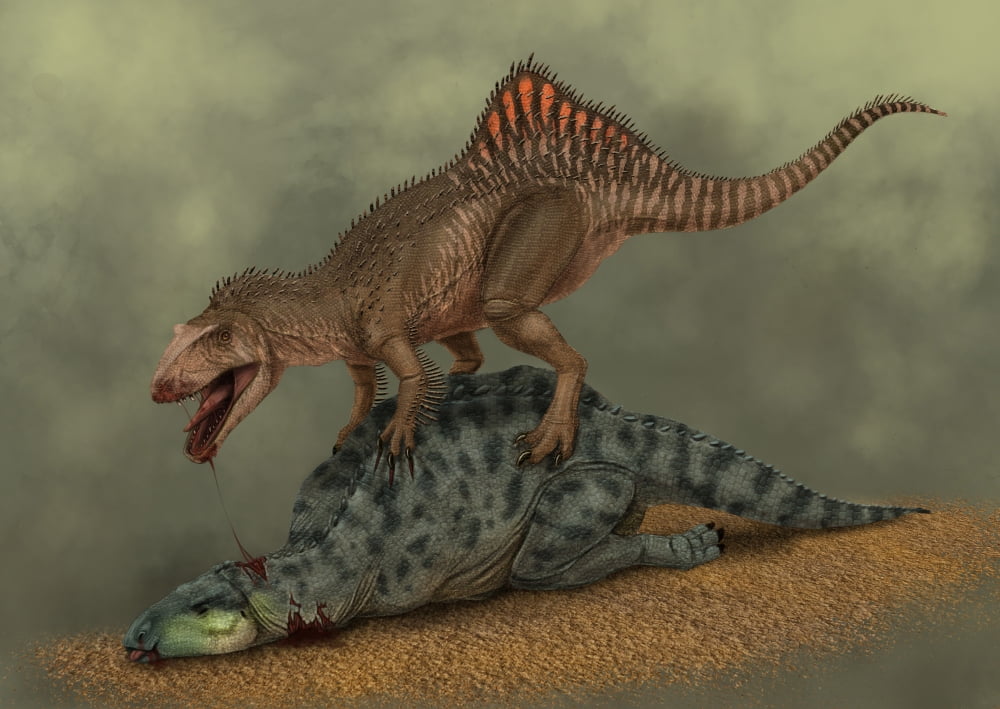 A Concavenator kills a young iguanodon dinosaur Canvas Art - Alvaro RozalenStocktrek Images (34 x 24)