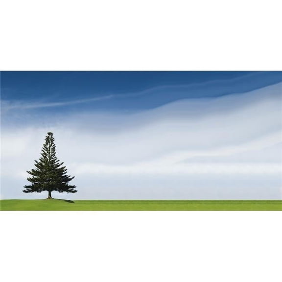 A Coniferous Tree Standing Alone In A Field Poster Print - 22 x 10