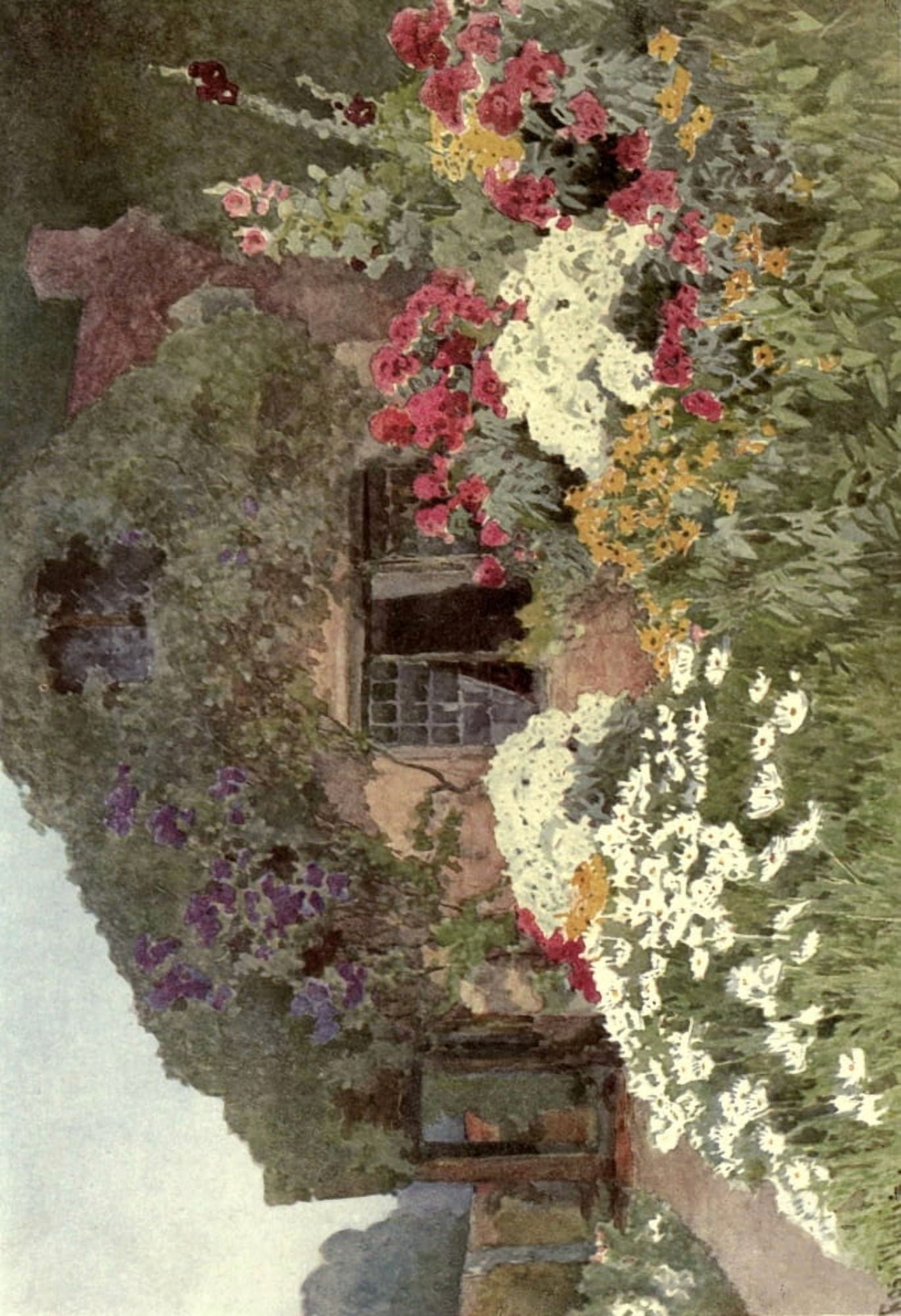 A Cottage Garden 1906 Canvas Art - Rosa Wallis (18 x 24)