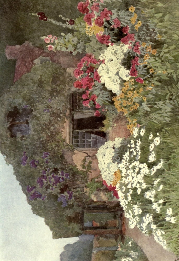 A Cottage Garden 1906 Canvas Art - Rosa Wallis (24 x 36)