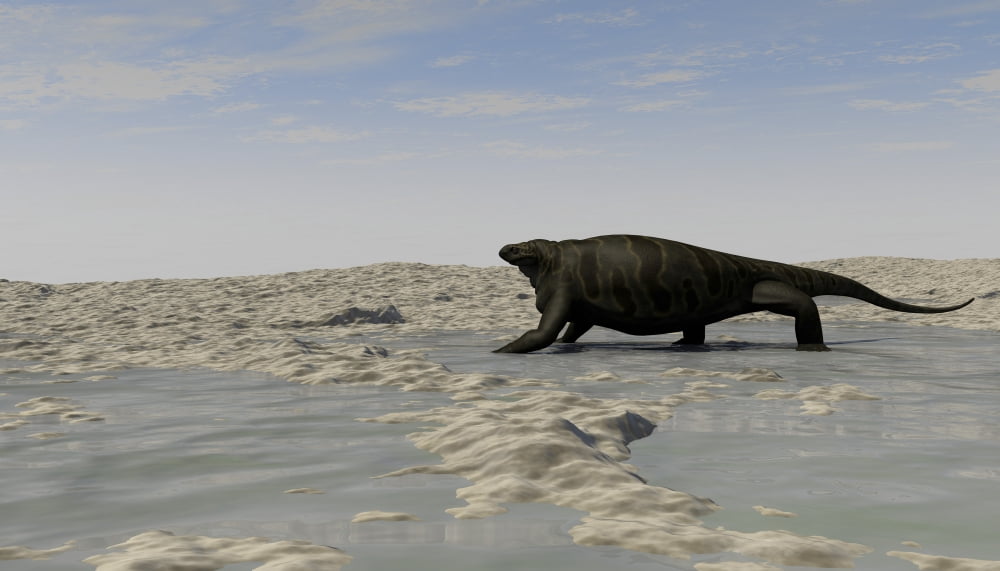 A Cotylorhynchus along the shores of a prehistoric environment Canvas Art - Kostyantyn IvanyshenStocktrek Images (38 x 22)