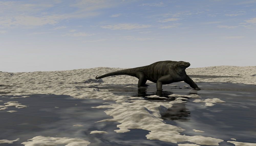 A Cotylorhynchus along the shores of a prehistoric environment Canvas Art - Kostyantyn IvanyshenStocktrek Images (38 x 22)