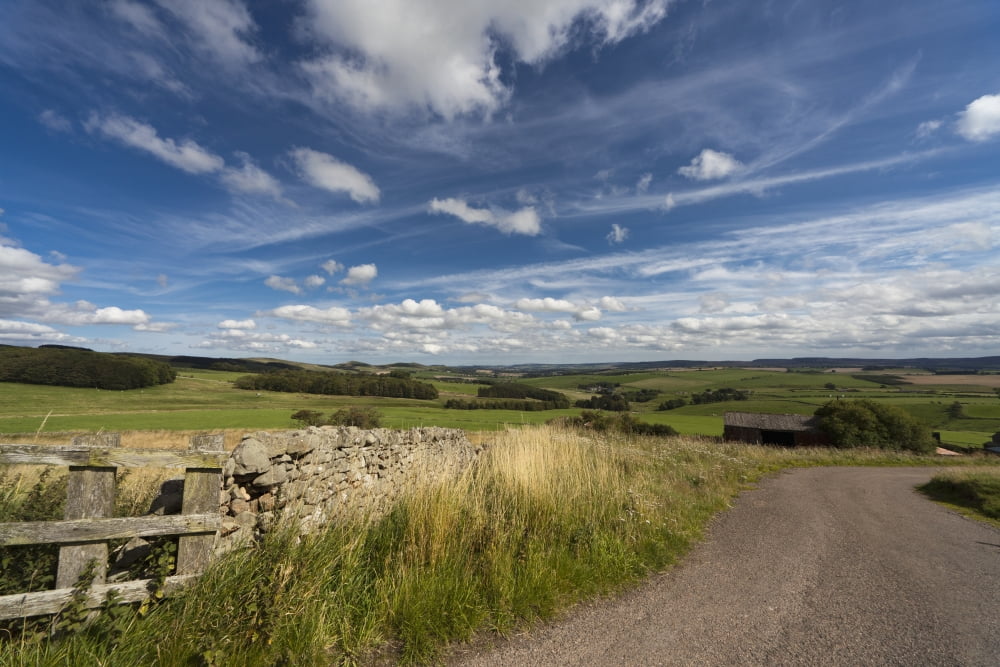 A Country Road With A Hilly Landscape Northumberland England Canvas Art - John Short Design Pics (38 x 24)