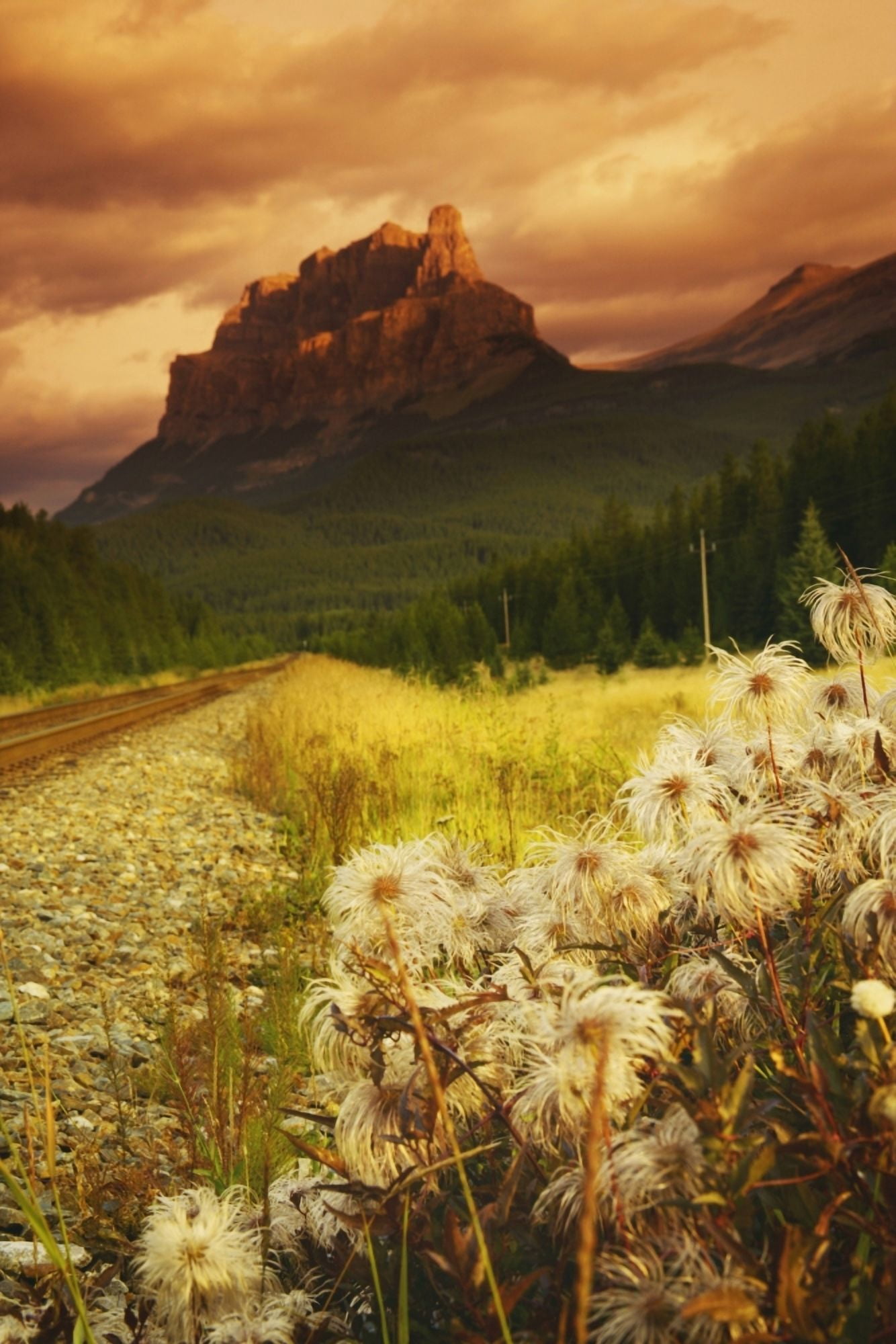 A Country Road With A Mountain In The Background Canvas Art - Kelly Redinger Design Pics (11 x 17)