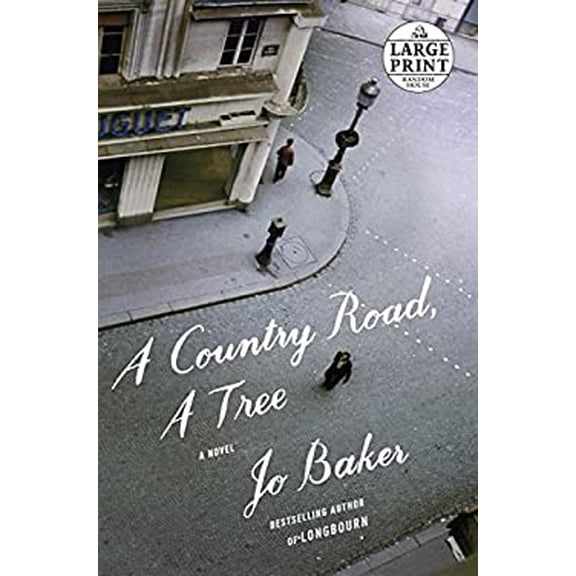 Pre-Owned A Country Road, a Tree (Paperback) by Jo Baker