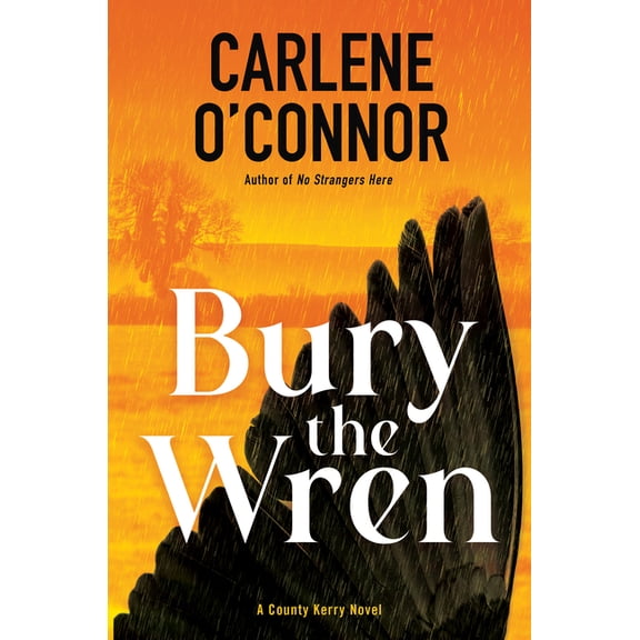 A County Kerry Novel Bury the Wren, (Hardcover)