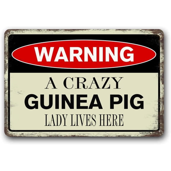 A Crazy Guinea Pig Lady Lives Here Sign, 8x12 Inch, Aluminum Sign for Guinea Pig Lovers Vintage Metal Tin Sign