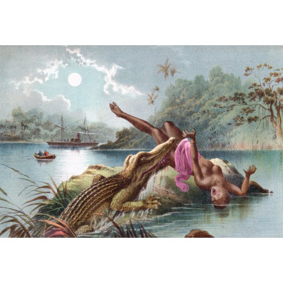A Crocodile Attacking A Native Woman In Africa In The 19Th Century. From The Life And Explorations Of Dr. Livingstone Published C.1875. Poster Print (34 x 24)