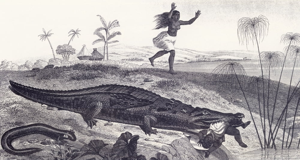 A Crocodile Snatches A Child From An African Village From A 19Th Century Print Canvas Art - Ken Welsh Design Pics (40 x 20)