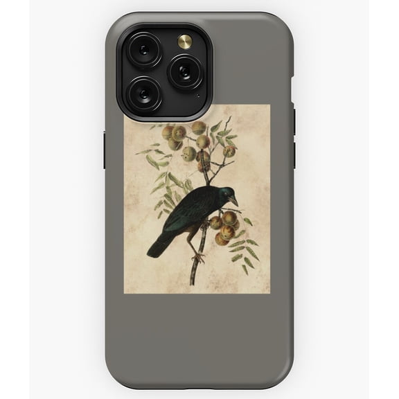 A Crow Gothic Raven Bird Design M220 Phone Case for iPhone 17 16 15 14 13 12 11 Pro Max