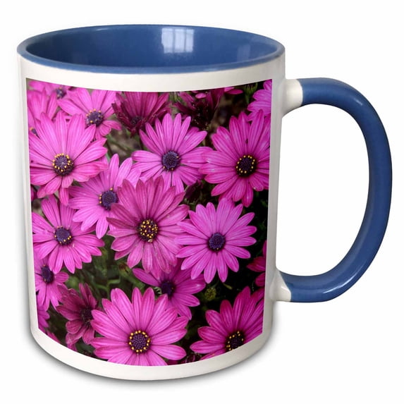 3drose, a Crowded Flowerbed of Pink Purple Cape Daisies, 15oz Two-tone Blue Mug