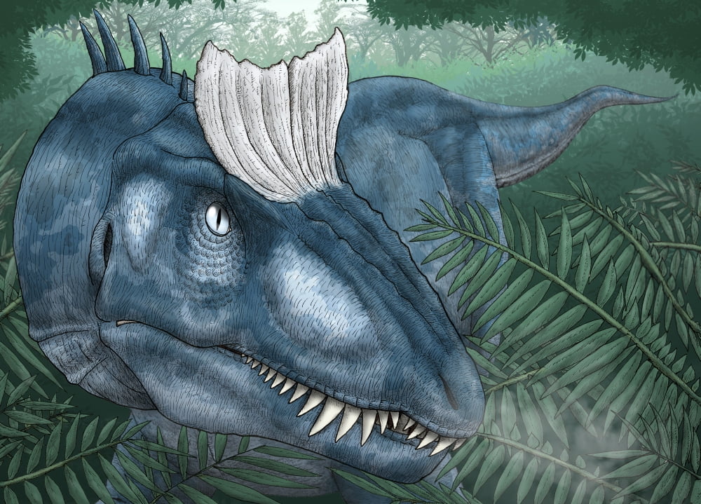 A Cryolophosaurus walking through a Jurassic forest Canvas Art - Vitor SilvaStocktrek images (17 x 12)