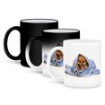 thumbnail image 1 of 3dRose, A Cute Pomeranian Pup Under A Bue Blanket, 11oz Magic Transforming Mug, 1 of 8