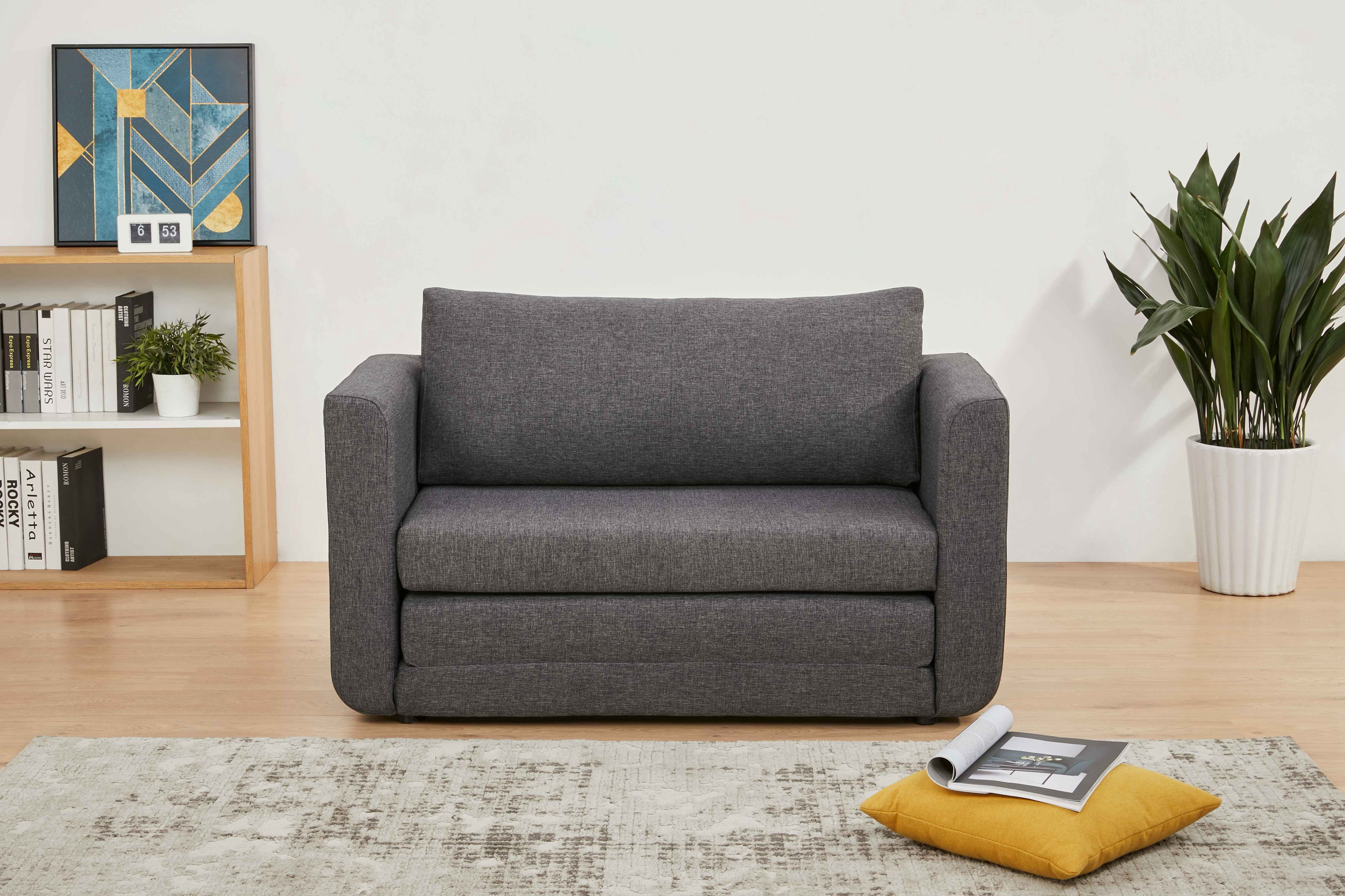 Two person couch sale bed