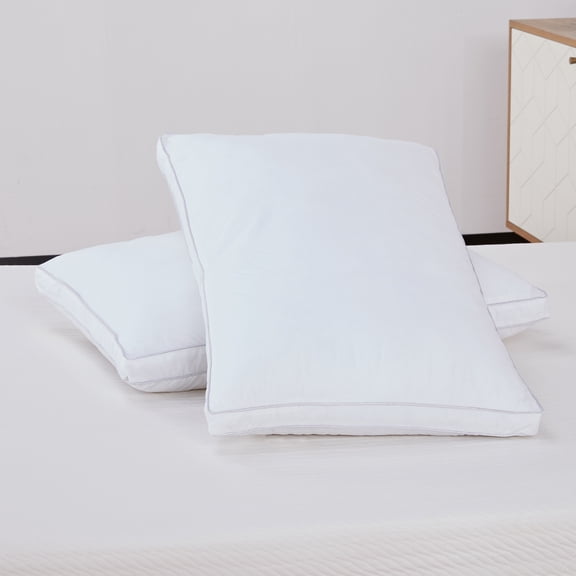 A&D Home White Polyester Queen Size Pillows (Set of 2)