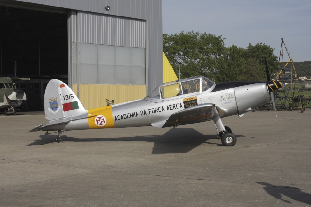 A DHC-1 Chipmunk trainer aircraft of the Portuguese Air Force Canvas Art - Timm ZiegenthalerStocktrek Images (18 x 12)