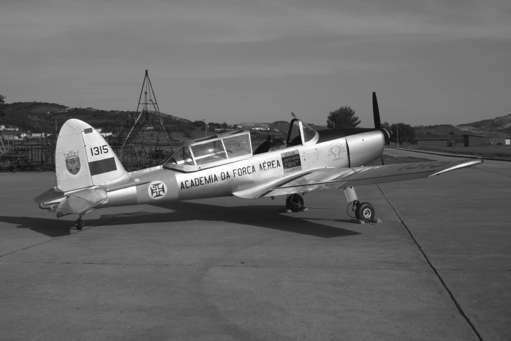 A DHC-1 Chipmunk trainer aircraft of the Portuguese Air Force Canvas Art - Timm ZiegenthalerStocktrek Images (35 x 23)