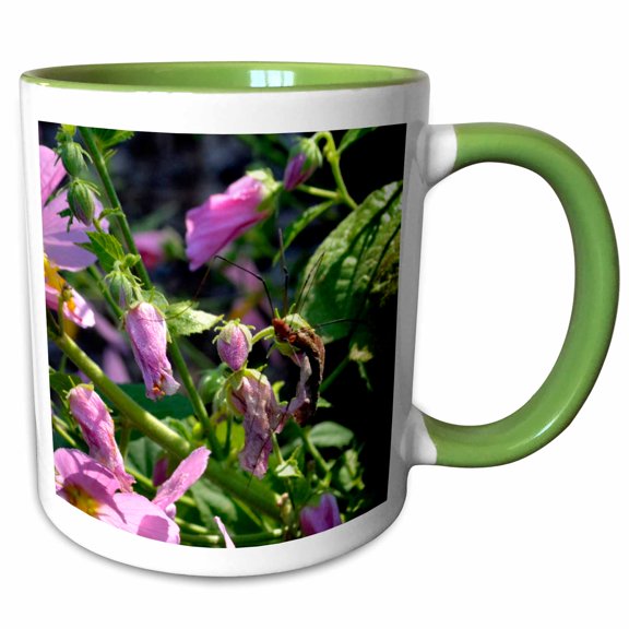 3drose, a Daddy Long Legs Spider on Pink Flowers, 15oz Two-tone Green Mug