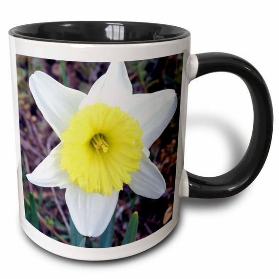 3drose, a Daffodil with Yellow Center and White Petals, 11oz Two-tone Black Mug