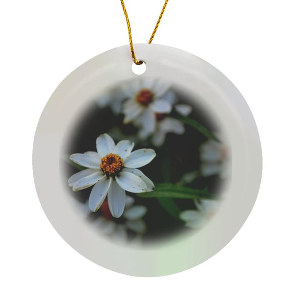 3drose, a Daisy Rising Above the Other Flowers, Circle Porcelain Ornament