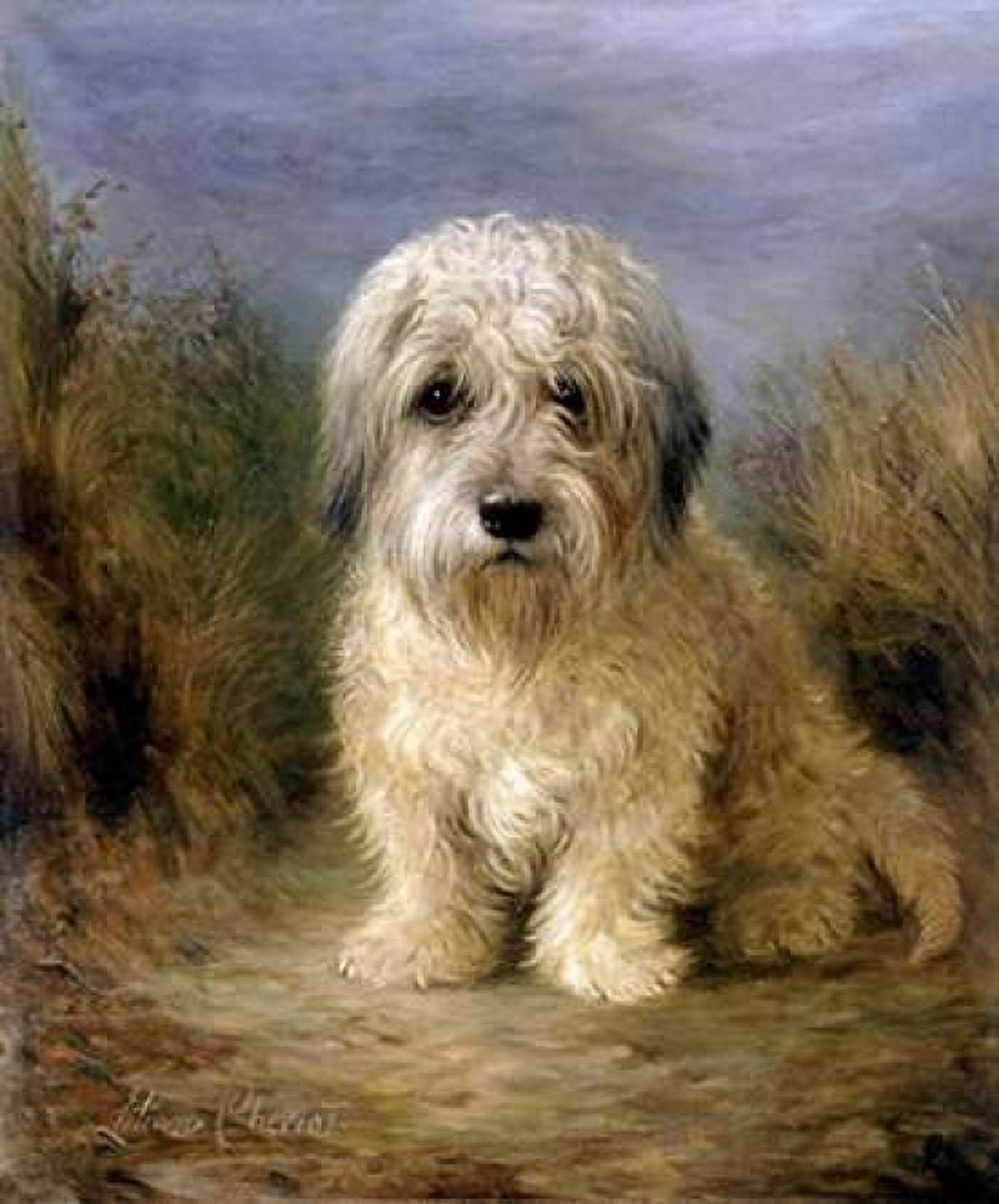 A Dandie Dinmont Canvas Art - Lilian Cheviot (20 x 24)