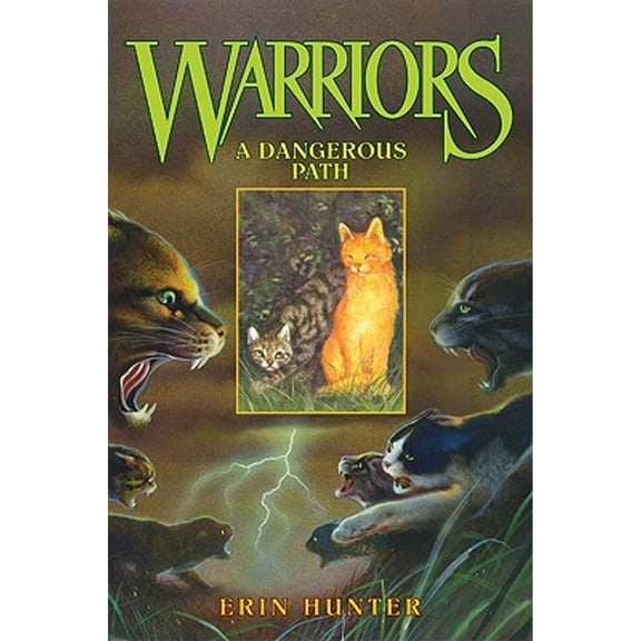 Pre-Owned A Dangerous Path (Hardcover) 0060000066 9780060000066