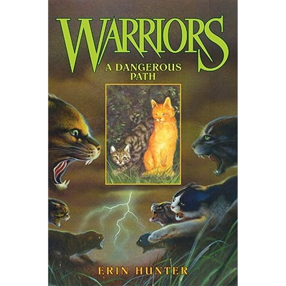 Pre-Owned A Dangerous Path (Hardcover) 0060000066 9780060000066
