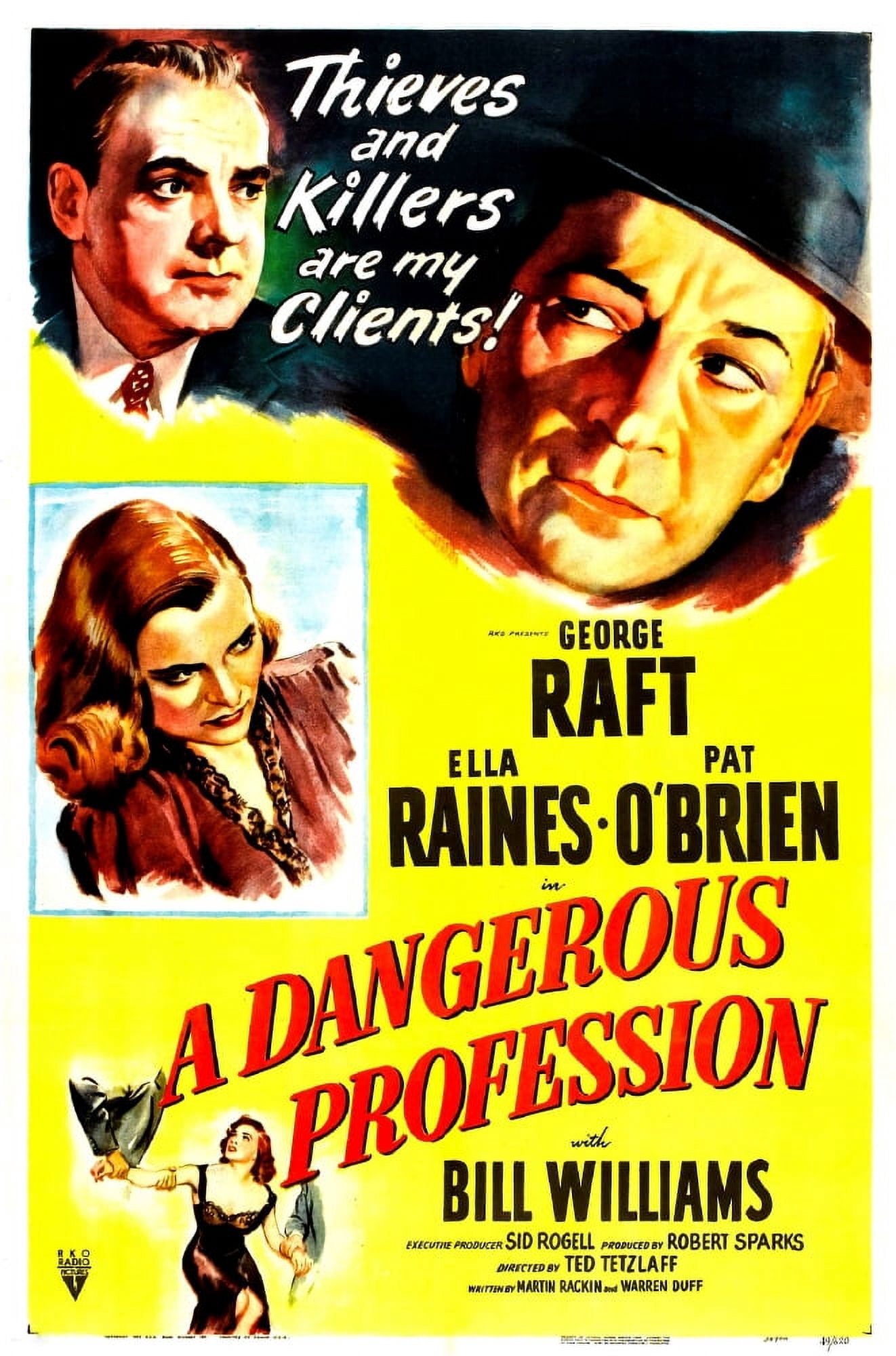 A Dangerous Profession U Canvas Art - (11 x 17)