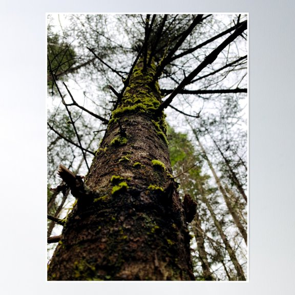 A Dark Day Poster Wall Art, Modern Wall Decor, 12x18 UNFRAMED