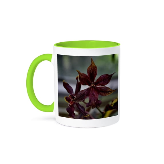 3dRose, A dark rust-brown colored orchid, 15oz Two-Tone Green Mug