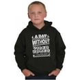 thumbnail image 1 of A Day Without Video Games Youth Hoodie Boy Girl Teen Brisco Brands XS, 1 of 6