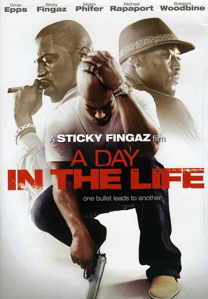 A Day in the Life (DVD) - Walmart.com