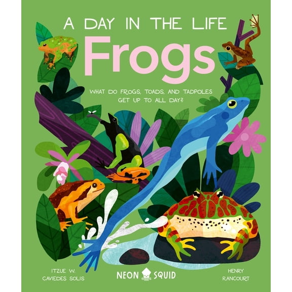 Day in the Life Frogs (a Day in the Life): What Do Frogs, Toads, and Tadpoles Get Up to All Day?, (Hardcover)