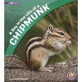 thumbnail image 1 of A Day in the Life of a Chipmunk, 1 of 1