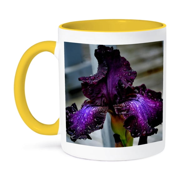 3dRose, A deep purple iris with rain droplets on it, 11oz Two-Tone Yellow Mug