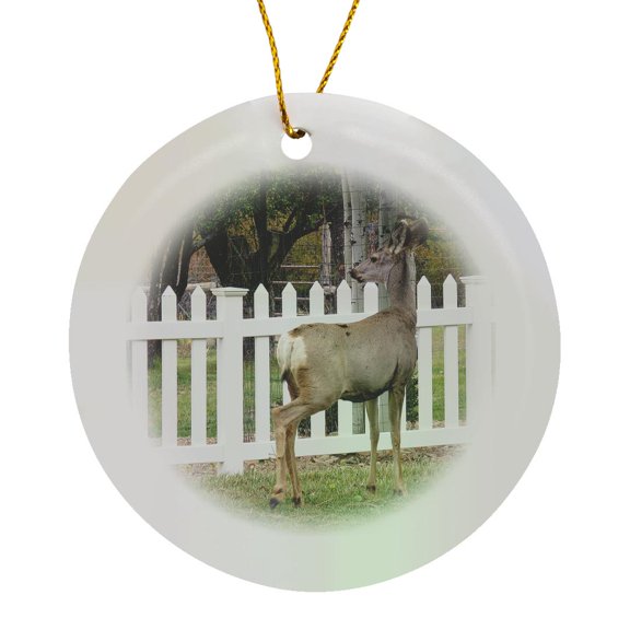 3drose, a Deer Standing Near a White Picket Fence in Pine Valley Utah, Circle Porcelain Ornament