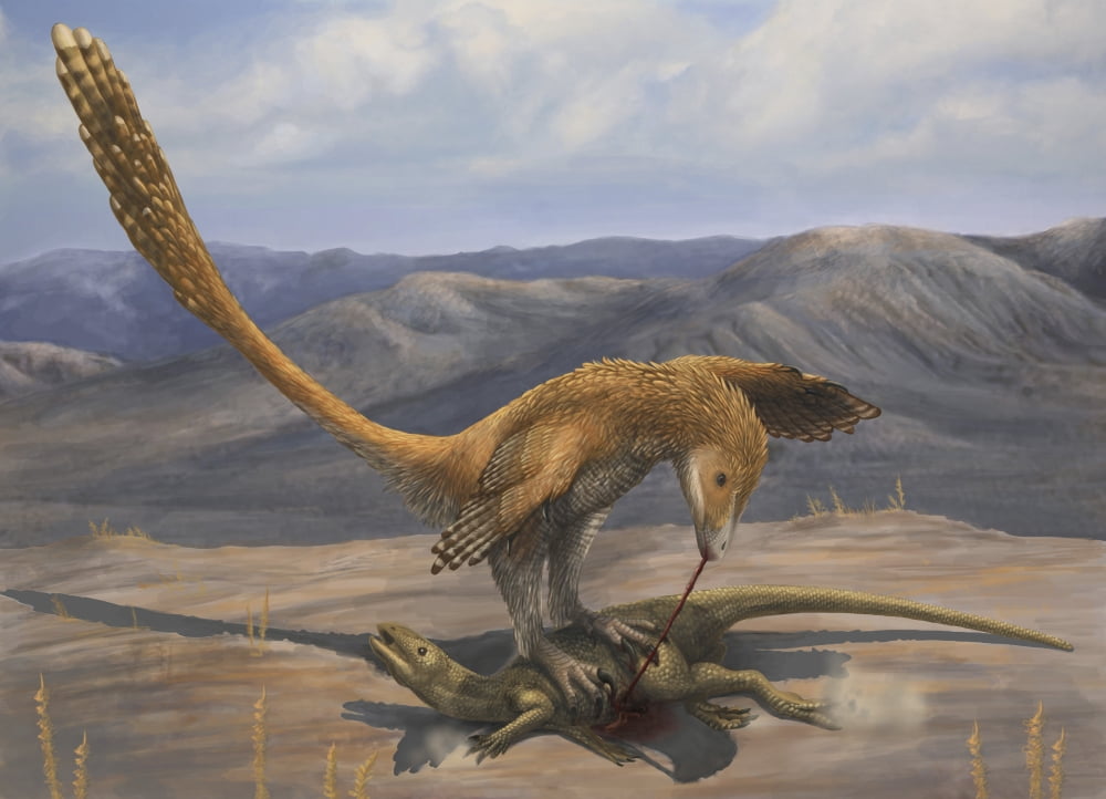 A Deinonychus feeds on the carcass of a Zephyrosaurus Canvas Art - Emily WilloughbyStocktrek Images (17 x 12)