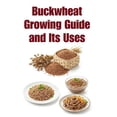 thumbnail image 1 of A Detailed, Informative Homesteading Buckwheat Growing Guide and Its Uses, (Paperback), 1 of 1