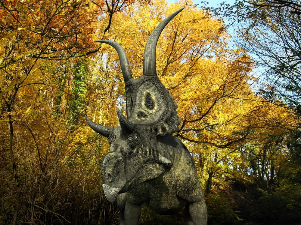 A Diabloceratops wanders a Cretaceous forest Canvas Art - Walter MyersStocktrek Images (33 x 25)