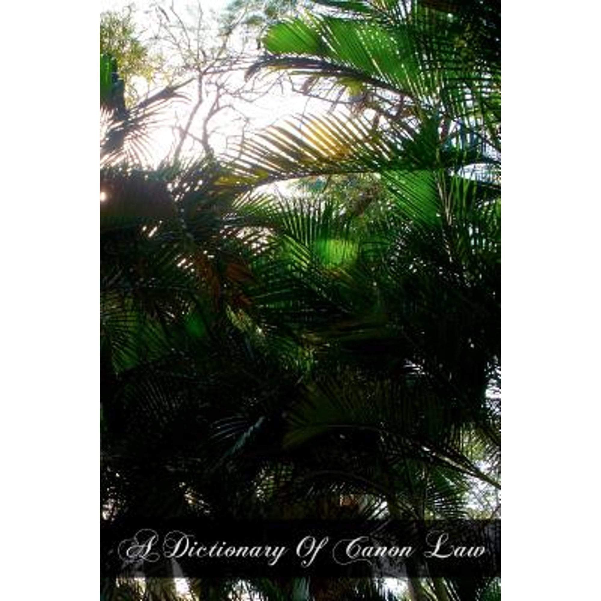 A Dictionary Of Canon Law (Paperback) by P Trudel S S